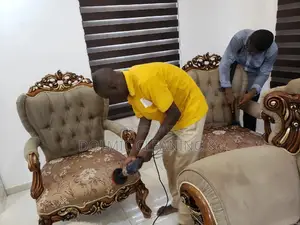 Professional Sofa and Upholstery Cleaners.