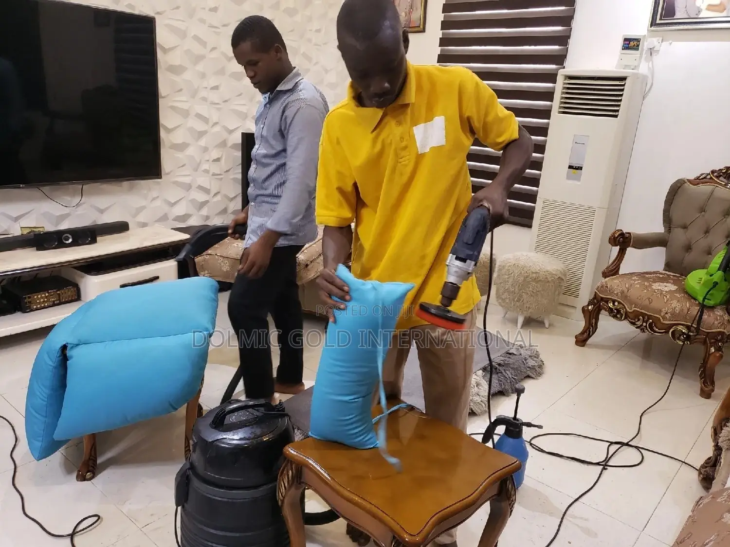 Professional Sofa and Upholstery Cleaners.
