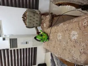 Upholstery/Sofa Cleaners