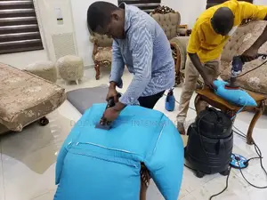 Upholstery/Sofa Wash Dry