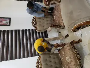 Upholstery/Sofa/Carpet and Rug Cleaning