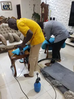 Wash and Dry Sofa and Rug Cleaning