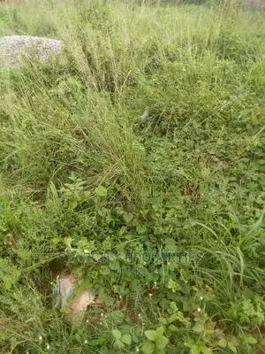 Plots of Land in Trans Nkisi Extension, Gra Onitsha