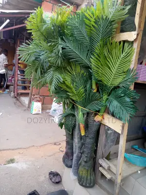Big Palm Flowers