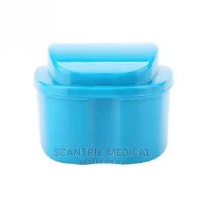 Dental Denture Bat Teeth Storage Box With Basket Net Holder
