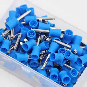 Dental Equipment Disposable Prophy Cup