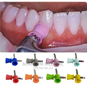 Easy to Us Dental Prophy Cup