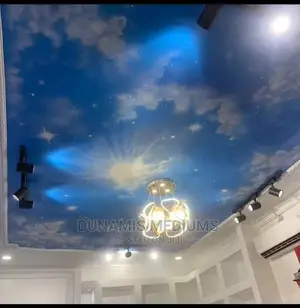 3D Stretch Ceiling