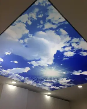 3D Stretch Ceiling