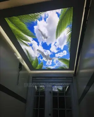 3D Stretch Ceiling
