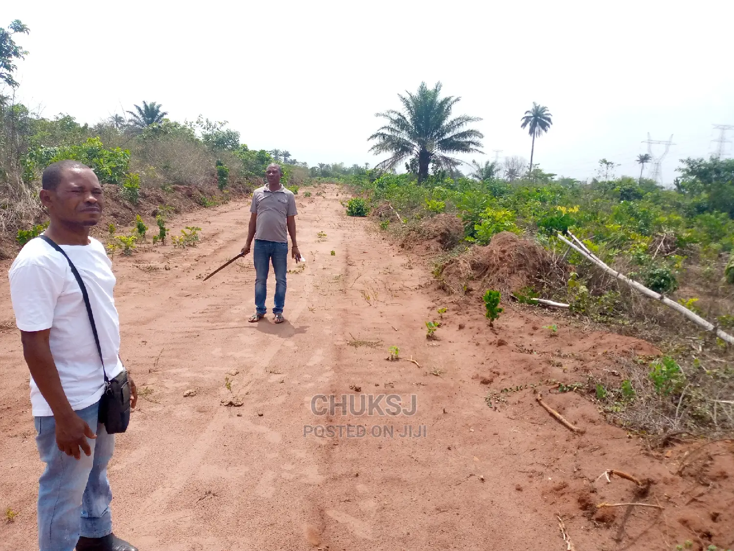 50/100 of Land Within Ogwashi-Uku Polytechnic Delta State