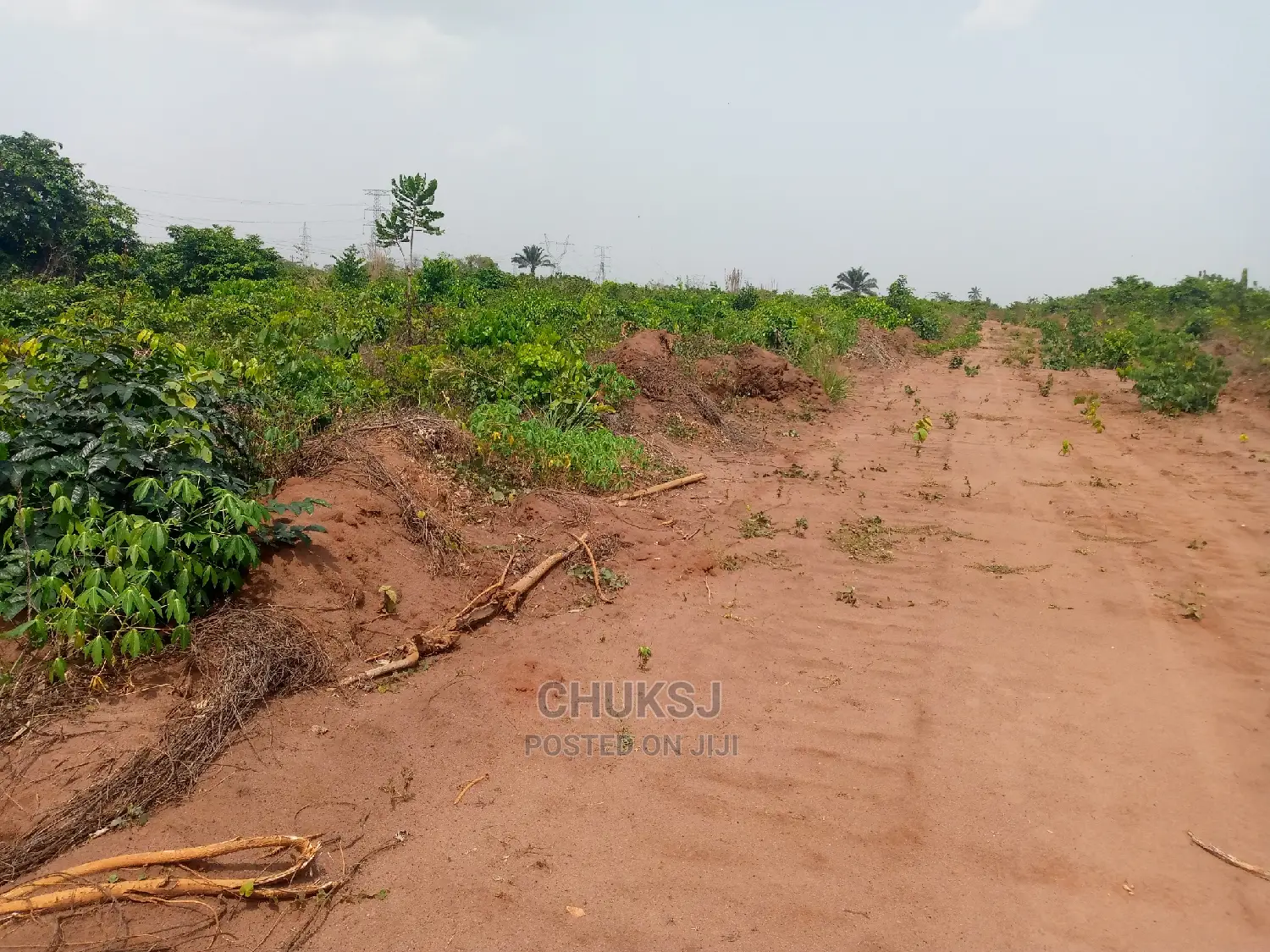 50/100 of Land Within Ogwashi-Uku Polytechnic Delta State