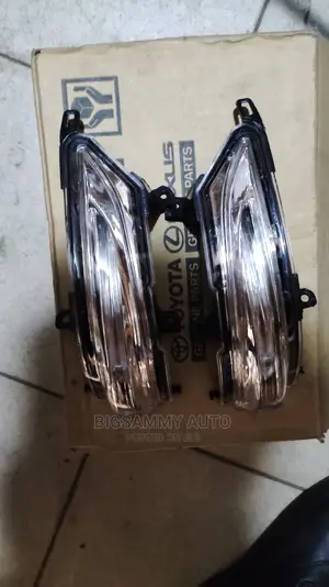 Avensis Side Mirror Pointer