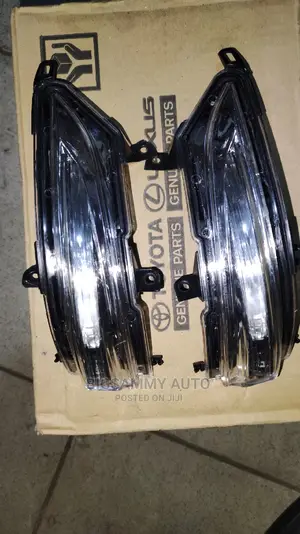 Avensis Side Mirror Pointer