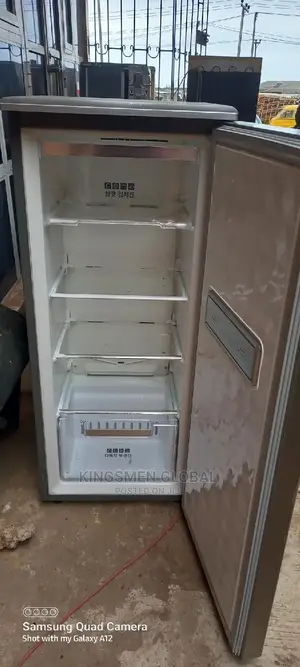 Samsung Standing Freezer