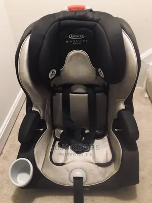 US Used Graco Signature Toddler Car Seat