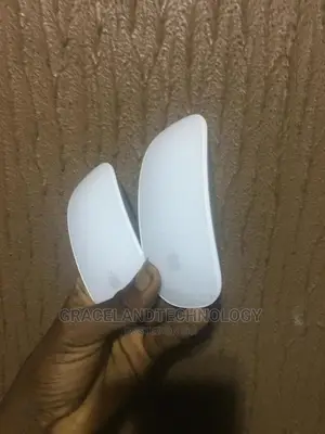Magic Mouse
