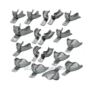 Original Perforated Stainless Steel Teeth Tray