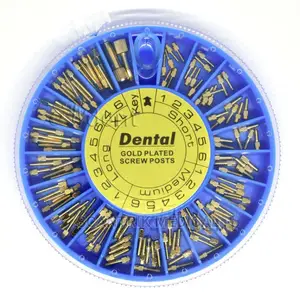 120pcs Dental Root Pins Conical Screw Posts