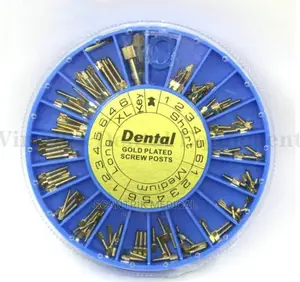 Dentistry Screw Post Endodontic Posts