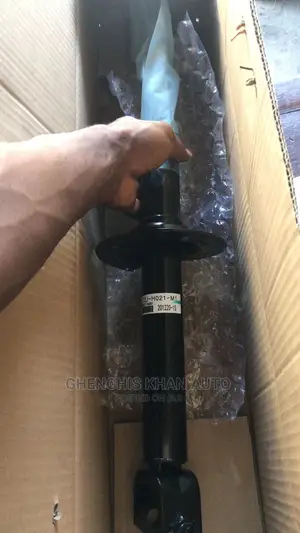 Back Shock Absorber 2013acc