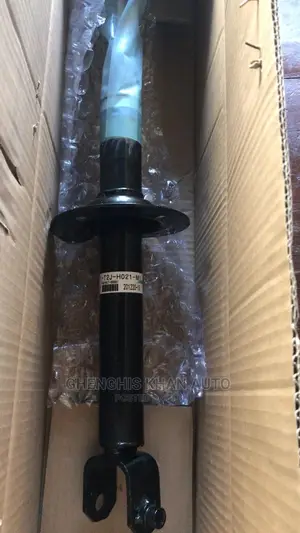 Back Shock Absorber 2013acc