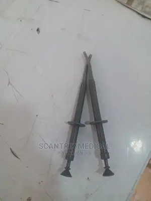 Amalgam Carrier Universal Syringe Plastic