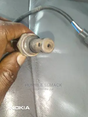 Oxygen Sensors