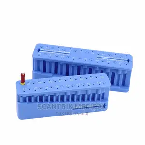 Lab Measuring Endo Ruler