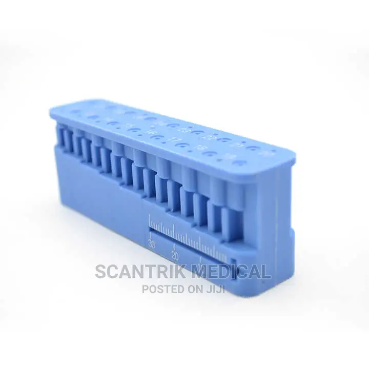 Lab Measuring Endo Ruler