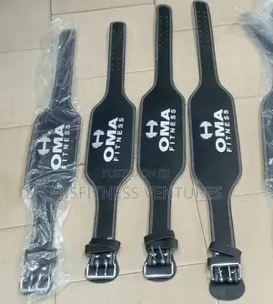 Weight Lifting Belt
