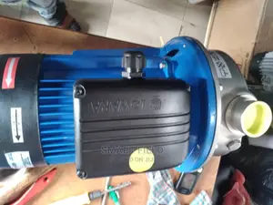 Lowara Stainless Steel Pump