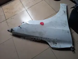 Hyundai Elantra 2019 Model Fender