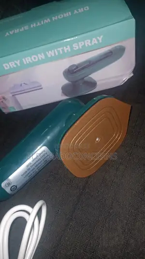 Mini Spray Travel Iron
