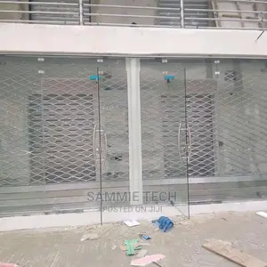 Frameless Door