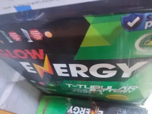 Glow Energy 220A Tubular Battery