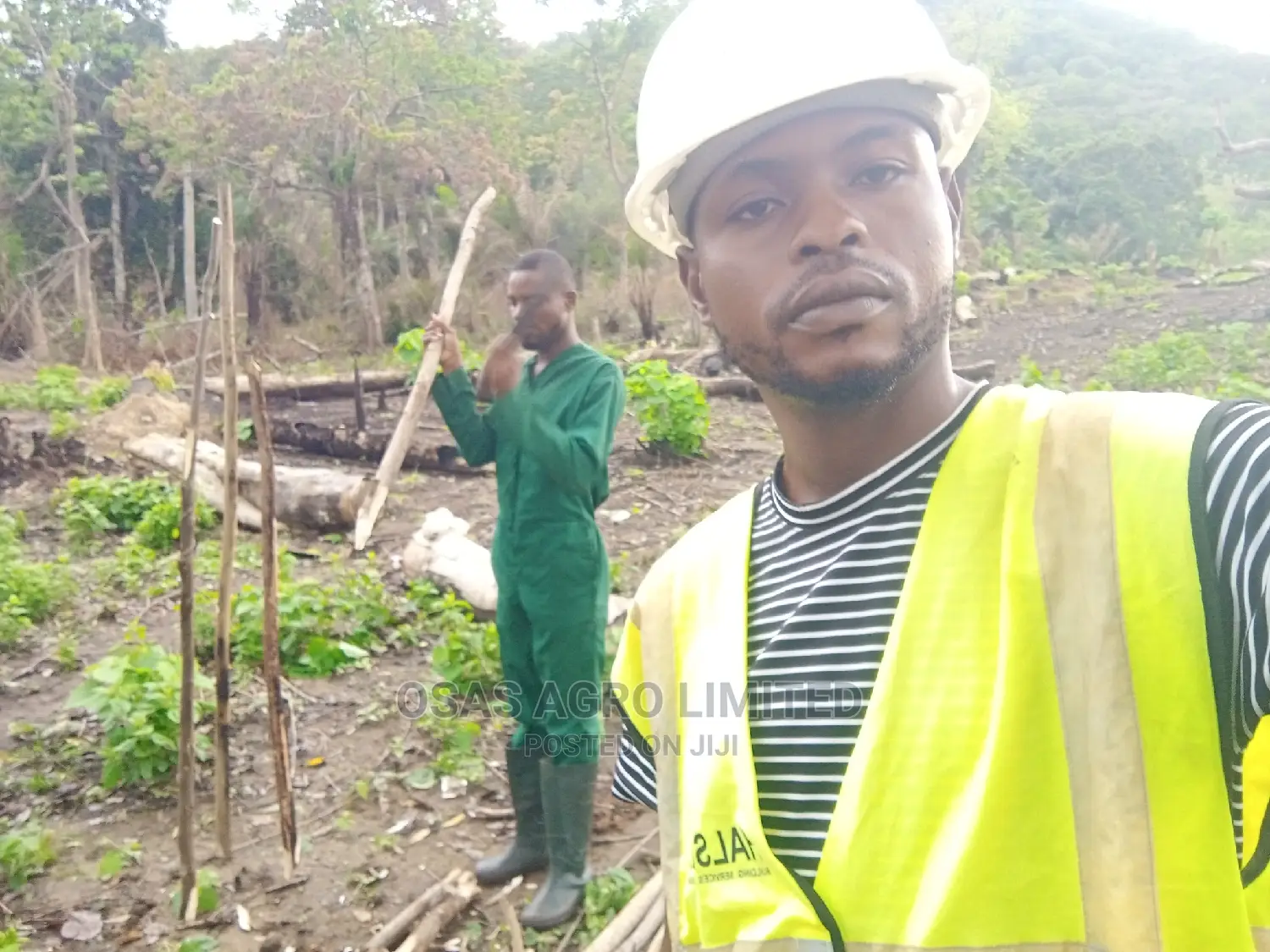 Choice Agro Limited/ Mapping