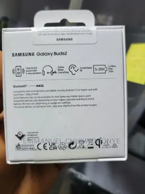 Samsung Galaxy Buds 2 Earbuds