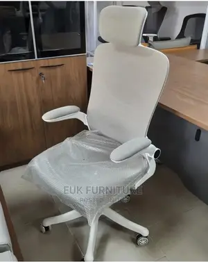 Quality Ergonomic Mesh Chair
