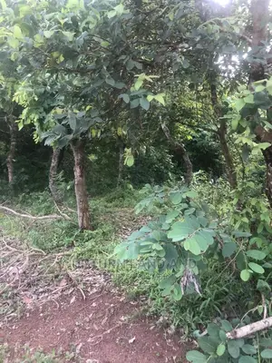 400 Acres of Land for Sale Off Ogbomosho