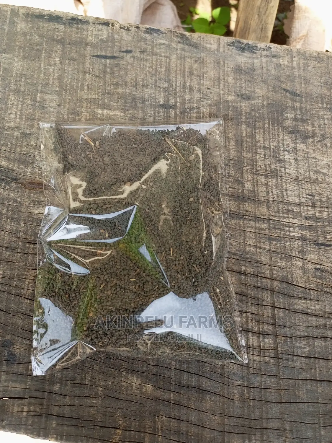 Ewedu Seed .