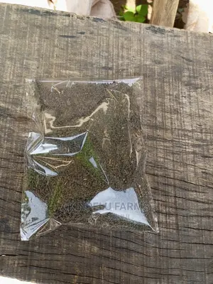 Ewedu Seed .