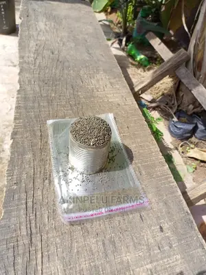 Ewedu Seed .