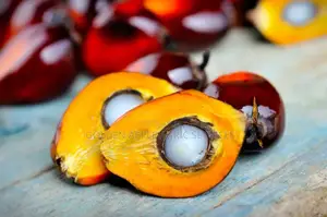 Oil Palm Seedlings - Hybrid Tenera Fruits Within 31⁄2 Years