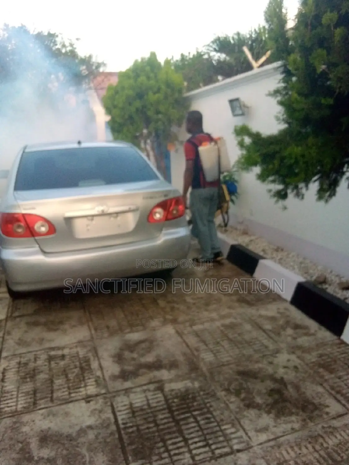 Smoke Fumigation Service