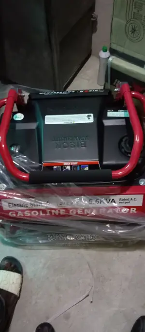 5.5kva Bison Generator With Remote Control and Key Starter