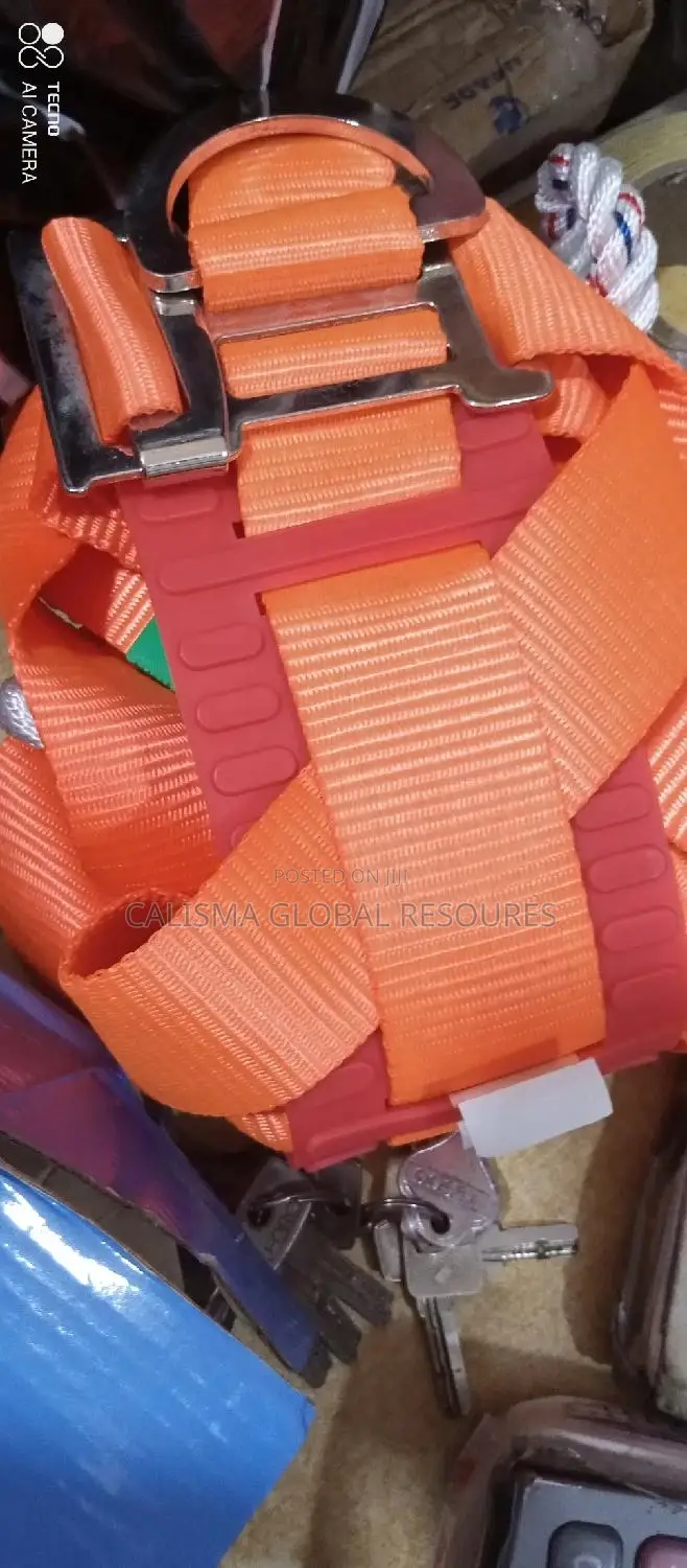 Safety Belt