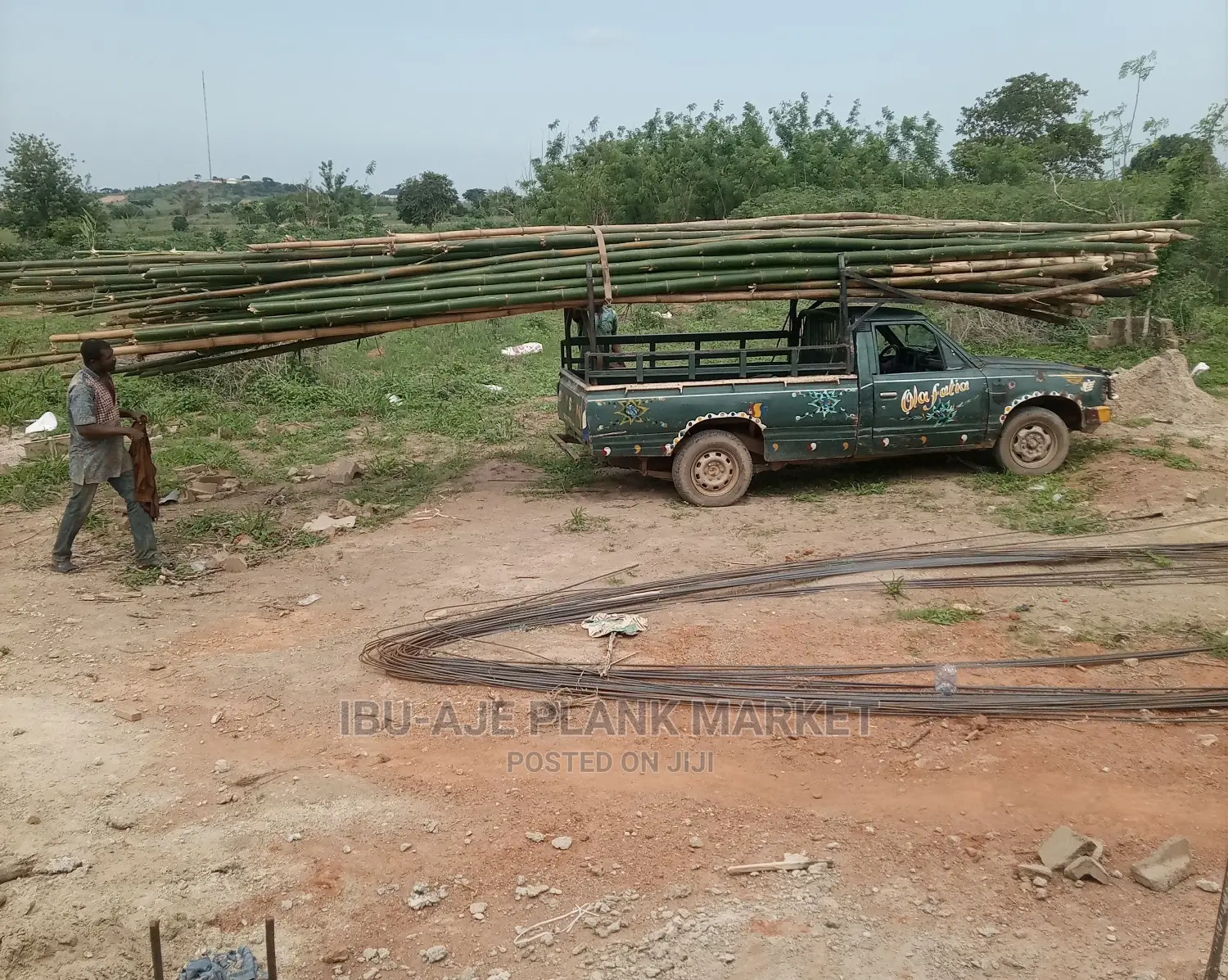 Bamboo Poles
