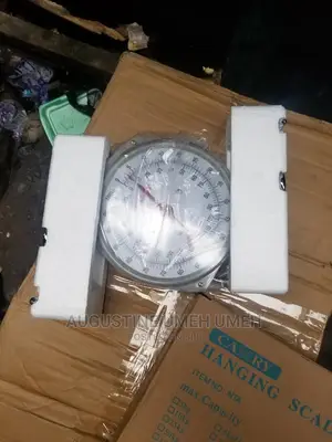 Hanging Scale 100kg