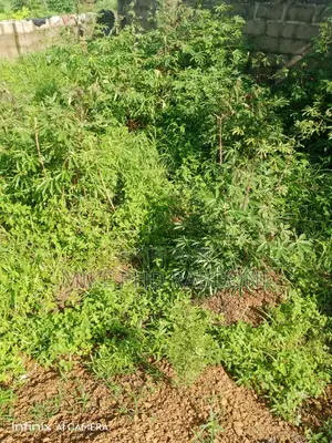 This Is a 368 Sqm of Land at Amorji Nike, Enugu With Fence